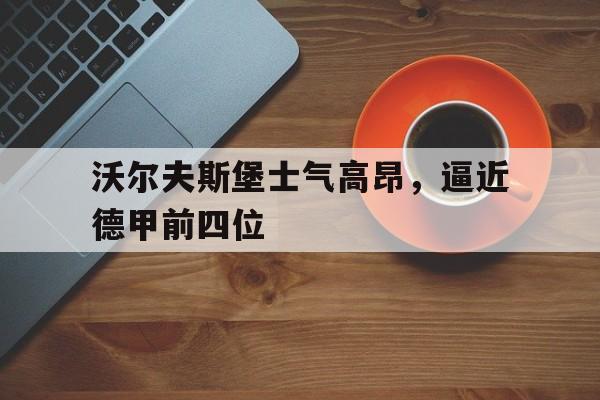 乐动网址-沃尔夫斯堡知名球员